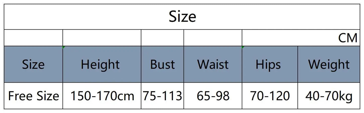 Summer Bikini Mesh Cover Up Sets Sexy Women Swimwear Swimsuit Push Up 2 Pcs Set