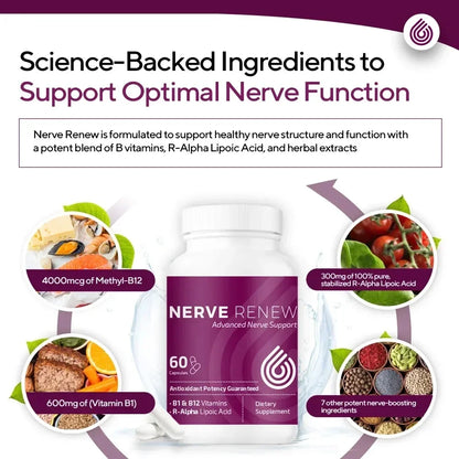 Nerve Renew Advanced Nerve Support - with R-Alpha Lipoic Acid & Vitamin B Complex - Antioxidant