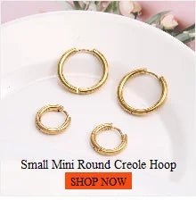 New In Earrings Dried Flower Crystal Dangle Hoop Earrings For Women Stainless Steel Diycharm Long Earring Cute Jewelry Wholesale