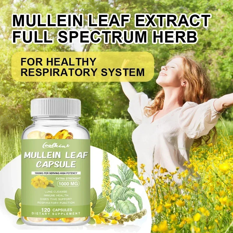 Mullein Leaf - Clear Lungs and Detoxify, Breathe Healthily, Relieve Headaches Supplement