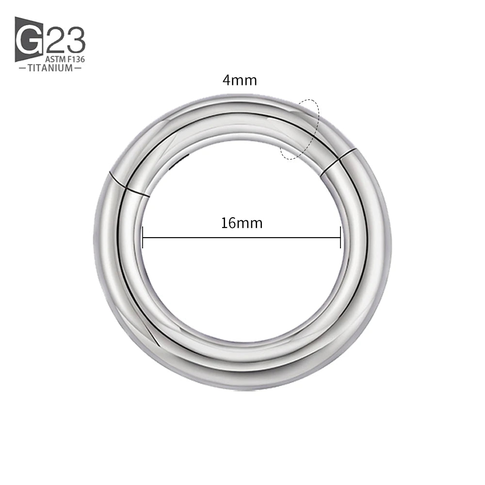 ASTM F136 Titanium PIERC Hinged Segment Hoop Earrings Large size Nose Rings 10G-6G 2.5mm-4mm Seamless Labret Lip Body Piercing 4.0x16mm