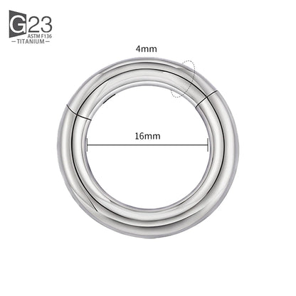 ASTM F136 Titanium PIERC Hinged Segment Hoop Earrings Large size Nose Rings 10G-6G 2.5mm-4mm Seamless Labret Lip Body Piercing 4.0x16mm
