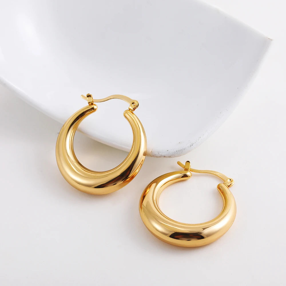 Fashion Glossy Stainless Steel Chunky Hoop Earrings for Women Gold Plated Thick Texture Geometric Circle Earring Vintage Jewelry 22480 16