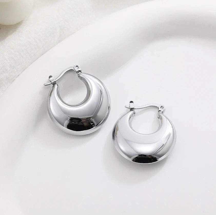 Fashion Glossy Stainless Steel Chunky Hoop Earrings for Women Gold Plated Thick Texture Geometric Circle Earring Vintage Jewelry 22480 20