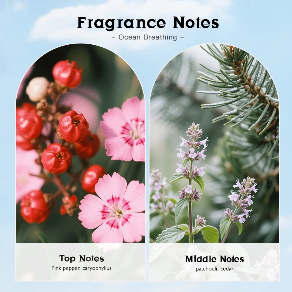 TROVEZ Ocean Breathing 100ml Perfume Elegant Fresh Fragrance Citrus Tone Unisex Perfume Long-lasting Scent Body Spray Scent Gift - Badiee Stylez