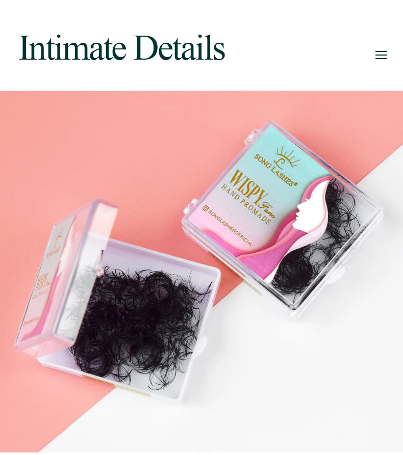 SONG LASHES High quality Professional Premade Lashes 5D 9D Wispy Lashes eyelashes extensions