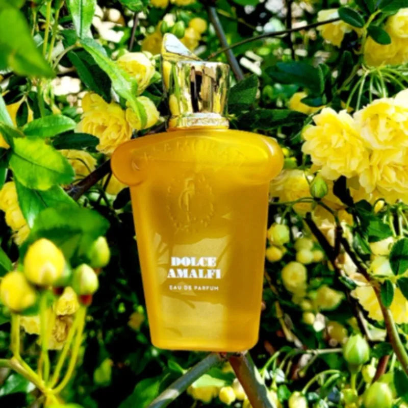 100ml Unisex Eau De Parfum Featuring 6 Unique Scents Including Oriental Woody Spicy Floral Citrus Hints with Bold Lasting Aroma