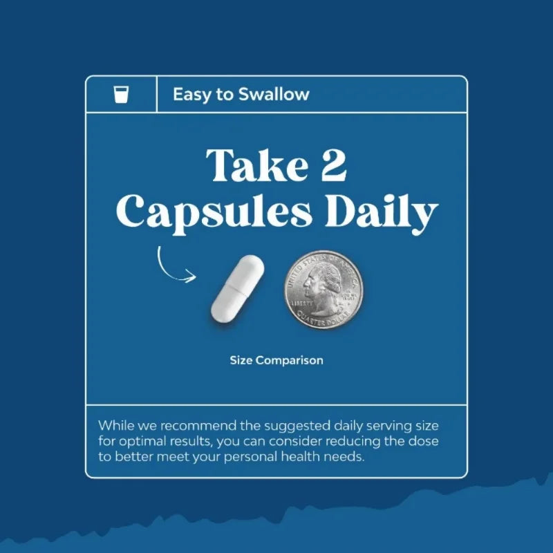 Vitamin C Supplement, Turmeric Root, Cordyceps Extract, Respiratory Supplement, Sinus Immune Support, 60 Capsules