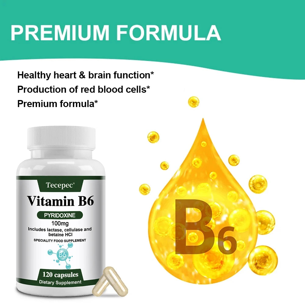 Vitamin B6, 100 Mg, with Lactase, Cellulase, and Betaine for Mental and Physical Energy, Brain Health, Heart Health, Non-GMO