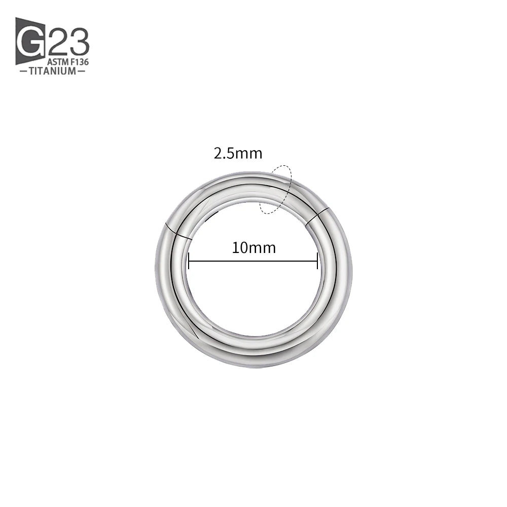 ASTM F136 Titanium PIERC Hinged Segment Hoop Earrings Large size Nose Rings 10G-6G 2.5mm-4mm Seamless Labret Lip Body Piercing 2.5x10mm