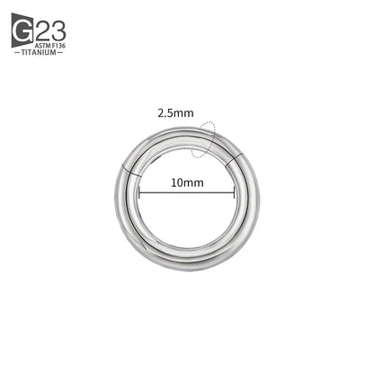 ASTM F136 Titanium PIERC Hinged Segment Hoop Earrings Large size Nose Rings 10G-6G 2.5mm-4mm Seamless Labret Lip Body Piercing 2.5x10mm