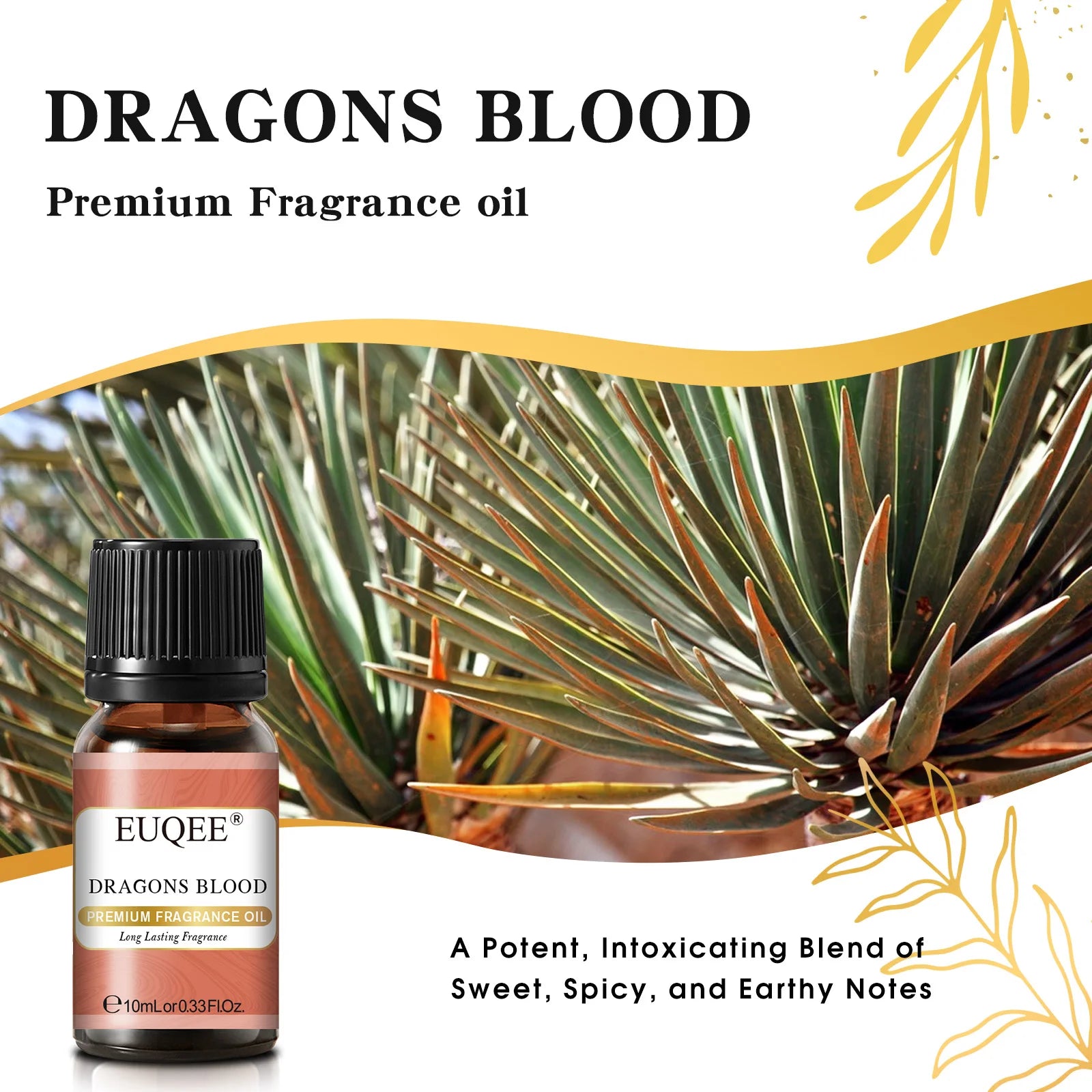 EUQEE 10ML Men's Fragrance Oil For Car Diffuser,Making Candle Leather Forest Pine Coffee Cake Cedarwood Bay Rum 1pcs/3pcs/6pcs - Badiee Stylez