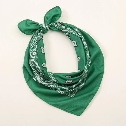 Bohemian Print Bandana Paisley Printed Headbands Hiphop Kerchief Outdoor Unisex Headband Wrist Wraps Face Mask Handkerchief FJ836-13