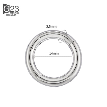 ASTM F136 Titanium PIERC Hinged Segment Hoop Earrings Large size Nose Rings 10G-6G 2.5mm-4mm Seamless Labret Lip Body Piercing 2.5x14mm