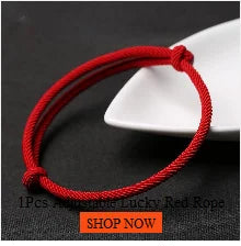 New In Earrings Dried Flower Crystal Dangle Hoop Earrings For Women Stainless Steel Diycharm Long Earring Cute Jewelry Wholesale