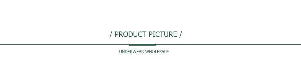 5 PCS/Set Mesh Briefs M-2XL Lace Panties Sexy Transparent Underwear Low Rise Panties Girls Intimates Lingeri Badiee Stylez