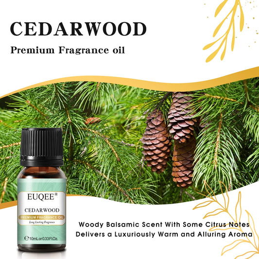 EUQEE 10ML Men's Fragrance Oil For Car Diffuser,Making Candle Leather Forest Pine Coffee Cake Cedarwood Bay Rum 1pcs/3pcs/6pcs - Badiee Stylez