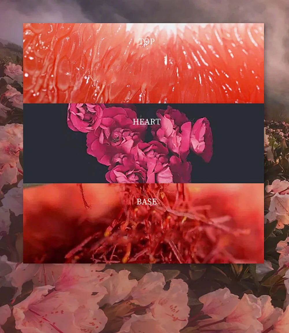 Luxury Brand Lasting Fragrance 75ml Perfume Women Body Spray Floral Scent Pheromone Perfumes De Mujer Eau De Parfum Men Cologne - Badiee Stylez