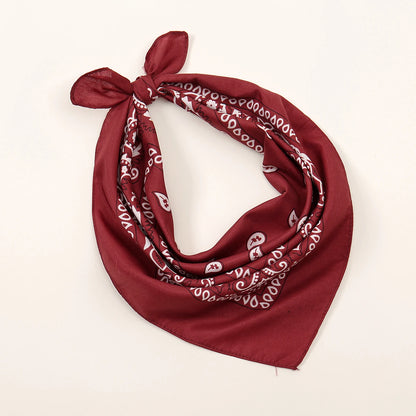 Bohemian Print Bandana Paisley Printed Headbands Hiphop Kerchief Outdoor Unisex Headband Wrist Wraps Face Mask Handkerchief FJ836-06