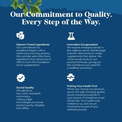 Vitamin C Supplement, Turmeric Root, Cordyceps Extract, Respiratory Supplement, Sinus Immune Support, 60 Capsules