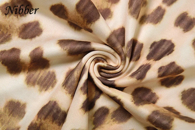 Nibber Leopard Print 2 Piece Set Women's Autumn Tracksuit Athleisure Hooded Crop Jacket + Flared Pants Stretch Matching Suit