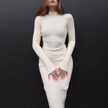 2024 New Autumn Knitted Turtleneck Dress Women Long Sleeve Bodycon Midi Dresses Female Elegant Fashion Solid Color Skinny Dress
