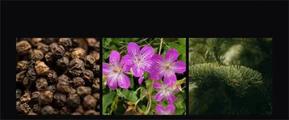 Luxury Brand Perfume Men Cologne Parfums Homme Gift Box 4Pcs Set 100ml Perfumes Masculinos Natural Floral Fruity Scent Spray - Badiee Stylez