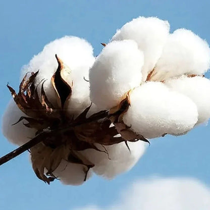 25-26 Social Media Killed Romance Summer T Shirt Men Women Aesthetic Valentine's Print T-Shirt Couple Cotton Tee Tops Clothing