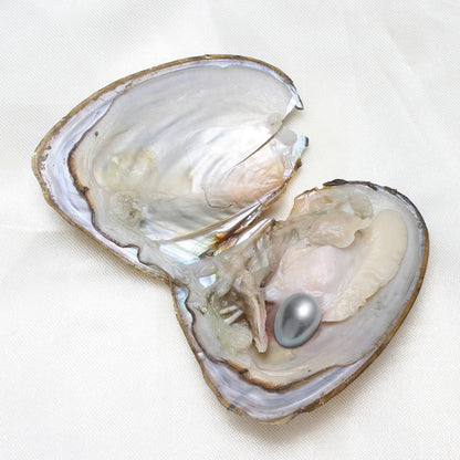7-8MM AA+ Single Pearl Vacuum-pack Oyster Beautiful & Interesting Nature Gifts Cultivate High-quality Pearls 50pcs/Lot