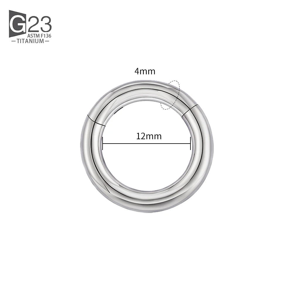 ASTM F136 Titanium PIERC Hinged Segment Hoop Earrings Large size Nose Rings 10G-6G 2.5mm-4mm Seamless Labret Lip Body Piercing 4.0x12mm
