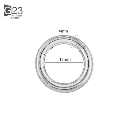 ASTM F136 Titanium PIERC Hinged Segment Hoop Earrings Large size Nose Rings 10G-6G 2.5mm-4mm Seamless Labret Lip Body Piercing 4.0x12mm