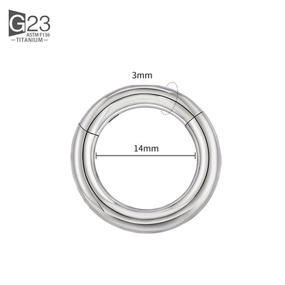 ASTM F136 Titanium PIERC Hinged Segment Hoop Earrings Large size Nose Rings 10G-6G 2.5mm-4mm Seamless Labret Lip Body Piercing 3.0x14mm