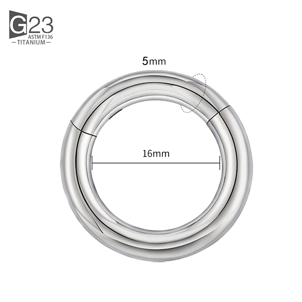 ASTM F136 Titanium PIERC Hinged Segment Hoop Earrings Large size Nose Rings 10G-6G 2.5mm-4mm Seamless Labret Lip Body Piercing 5.0x16mm