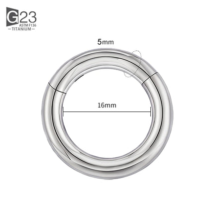 ASTM F136 Titanium PIERC Hinged Segment Hoop Earrings Large size Nose Rings 10G-6G 2.5mm-4mm Seamless Labret Lip Body Piercing 5.0x16mm