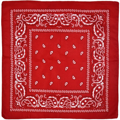 Outdoor Cycling 53cm Cotton Square Scarf Women Men Paisley Print HipHop Bandanas Scarves Headband Handkerchief Hair Mask Badiee Stylez