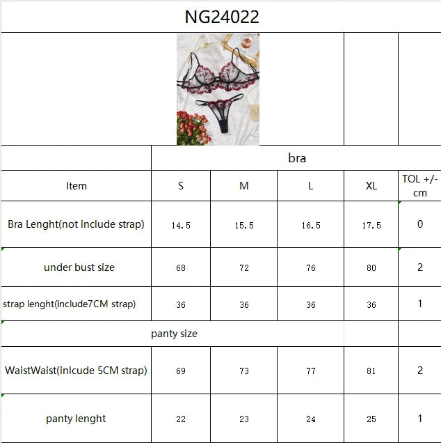 Lace Lingerie Ultra Sexy Underwear Women Set Sexy Adult Delicate Embroidery Intimate Underwear Transparent Bra Lingerie Sets