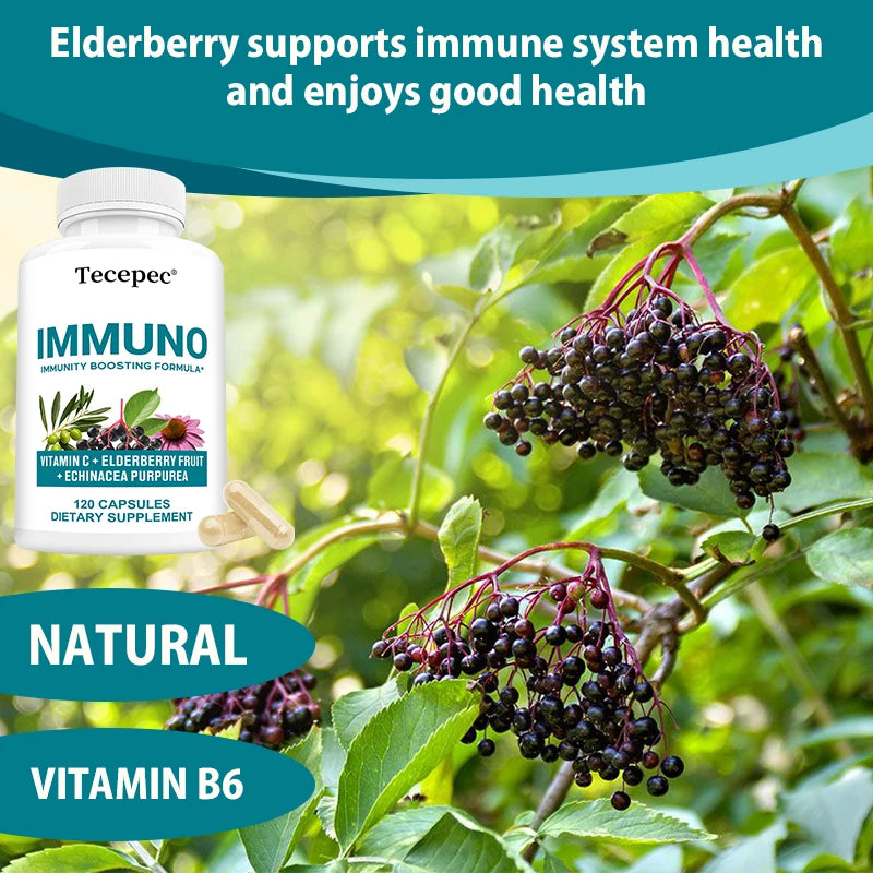 Immune Support Capsules - with Vitamin C, Elderberry Fruit, Echinacea Purpurea - Balances The Immune System and Physical Health