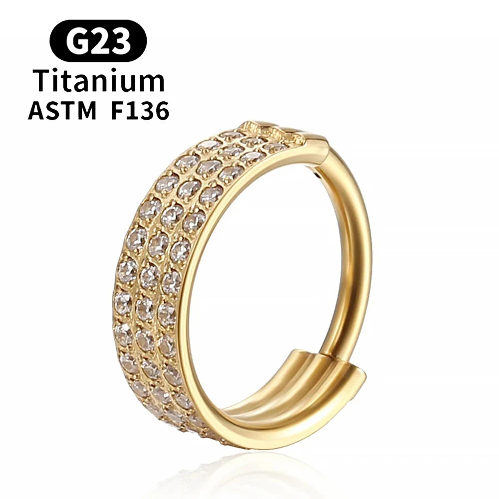 F136 G23 Titanium Nose Ring 16G Hinged Segment CZ Septum Clicke Daith Earrings Hoops Ear Cartilage Tragus Helix Piercing Jewelry Gold Color 8 CHINA