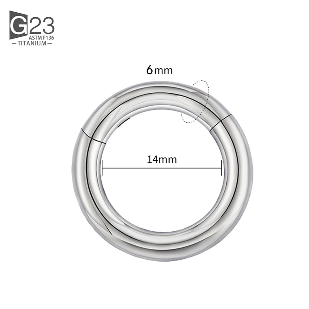 ASTM F136 Titanium PIERC Hinged Segment Hoop Earrings Large size Nose Rings 10G-6G 2.5mm-4mm Seamless Labret Lip Body Piercing 6.0x14mm