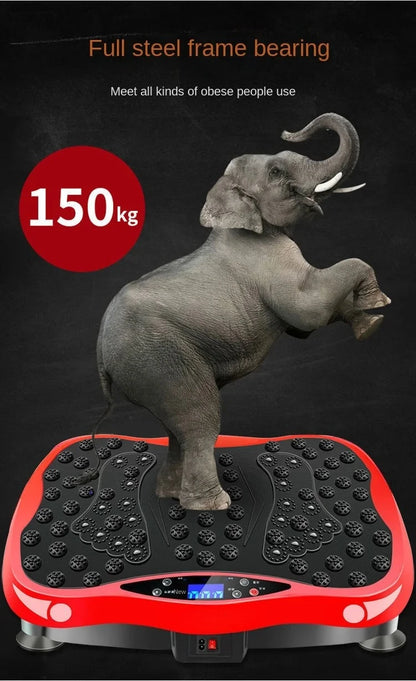 LazyTone Vibration Plate, Zero-Exercise Slimming, Target Stubborn Fat, Define Core, Advanced Weight-Management Tool