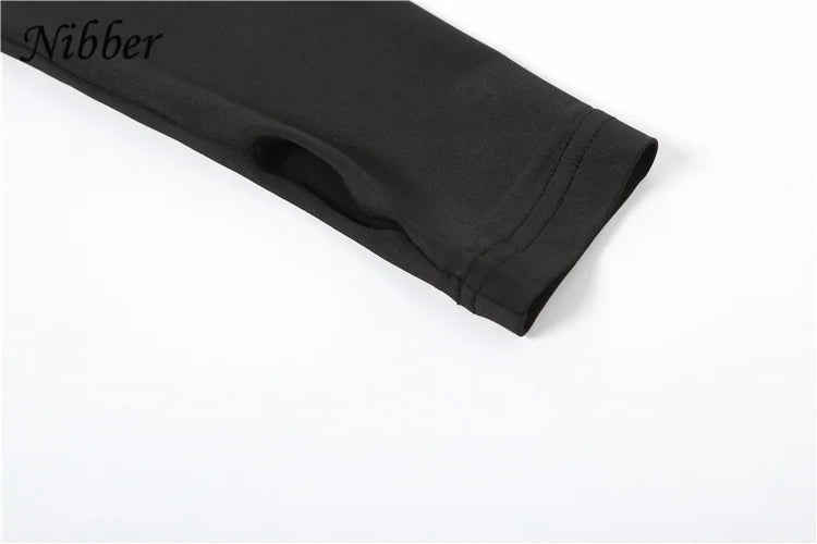 Nibber Sporty Casual 2 Piece Set Women Tracksuit Hooded Zip Crop Tops+Leggings Fitness Soft Stretch Streetwear Activity Suit