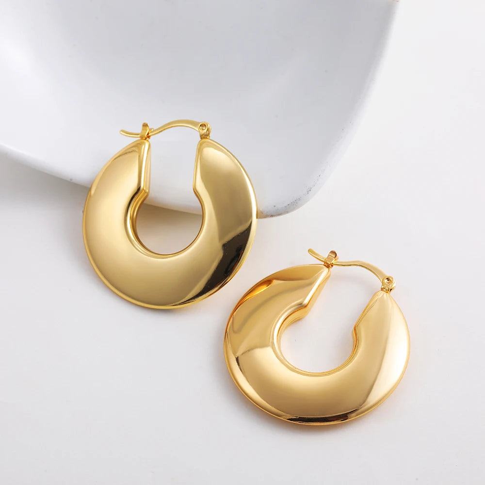 Fashion Glossy Stainless Steel Chunky Hoop Earrings for Women Gold Plated Thick Texture Geometric Circle Earring Vintage Jewelry 22480 19