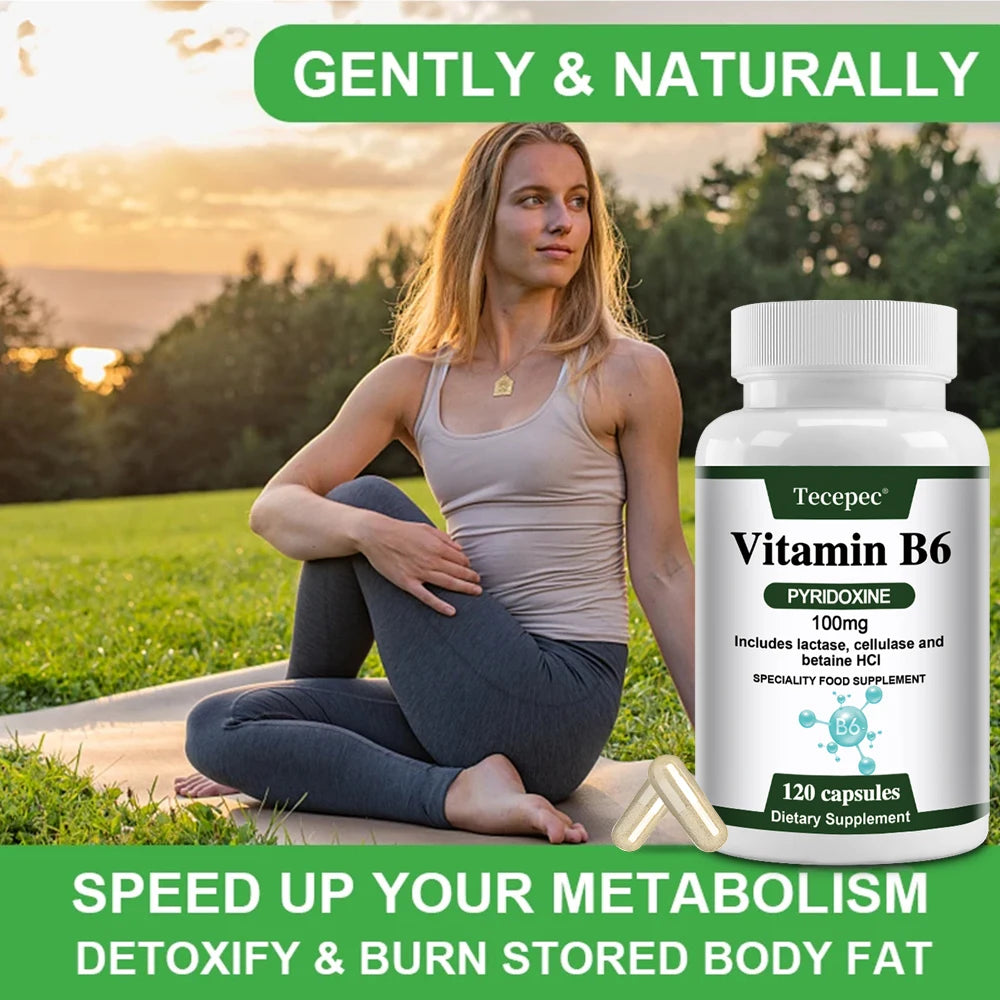 Vitamin B6, 100 Mg, with Lactase, Cellulase, and Betaine for Mental and Physical Energy, Brain Health, Heart Health, Non-GMO