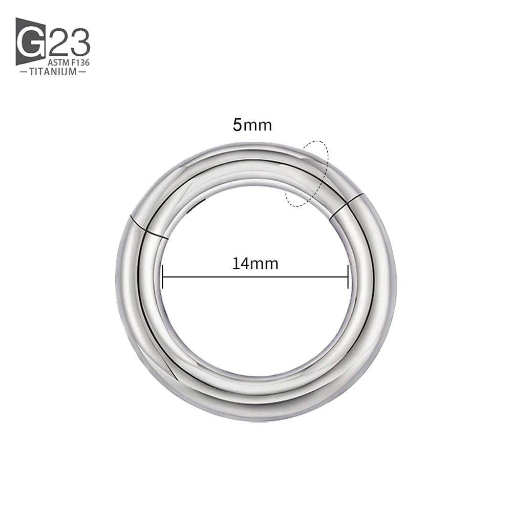 ASTM F136 Titanium PIERC Hinged Segment Hoop Earrings Large size Nose Rings 10G-6G 2.5mm-4mm Seamless Labret Lip Body Piercing 5.0x14mm