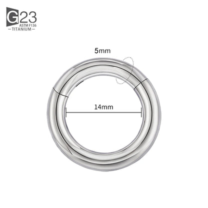 ASTM F136 Titanium PIERC Hinged Segment Hoop Earrings Large size Nose Rings 10G-6G 2.5mm-4mm Seamless Labret Lip Body Piercing 5.0x14mm