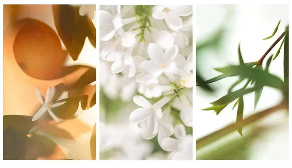 High Quality Men Perfume Hombre Gift Box 3pcs Set 90ml Colognes Scent Fascination Man Perfumes Masculinos Lasting Parfum Heren Badiee Stylez