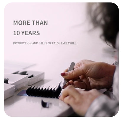 ANNAFRIS W Shape 6D Volume Eyelash Extension False Mink Soft Natural Premade Fans Lash 6D W Shaped Easy Faning Eyelashes