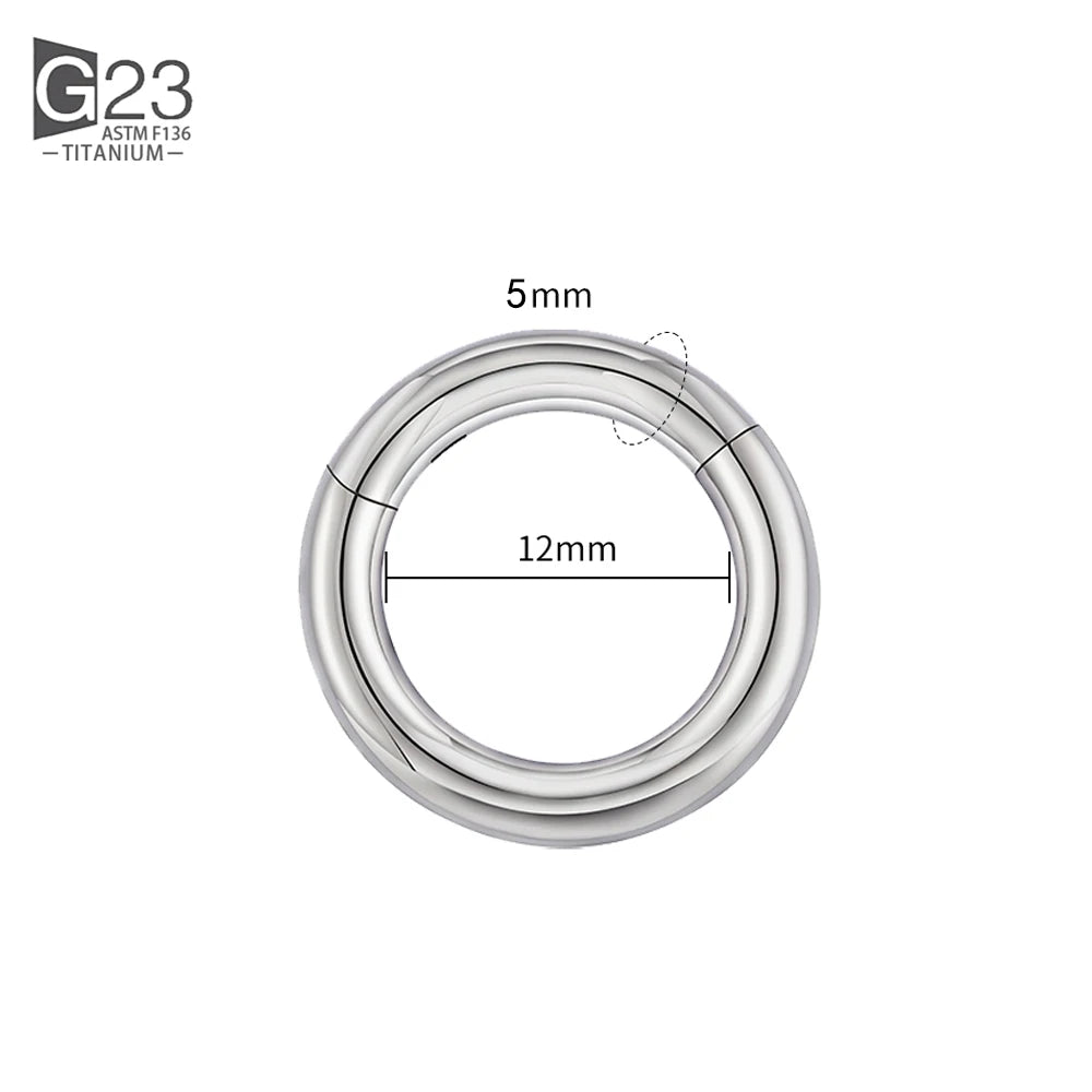 ASTM F136 Titanium PIERC Hinged Segment Hoop Earrings Large size Nose Rings 10G-6G 2.5mm-4mm Seamless Labret Lip Body Piercing 5.0x12mm
