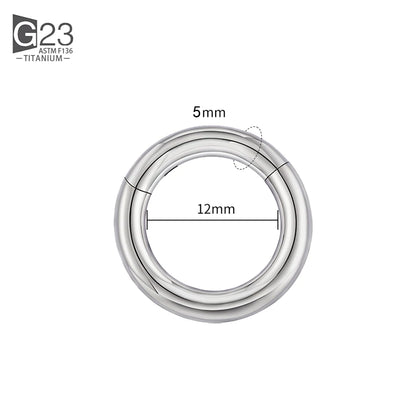 ASTM F136 Titanium PIERC Hinged Segment Hoop Earrings Large size Nose Rings 10G-6G 2.5mm-4mm Seamless Labret Lip Body Piercing 5.0x12mm