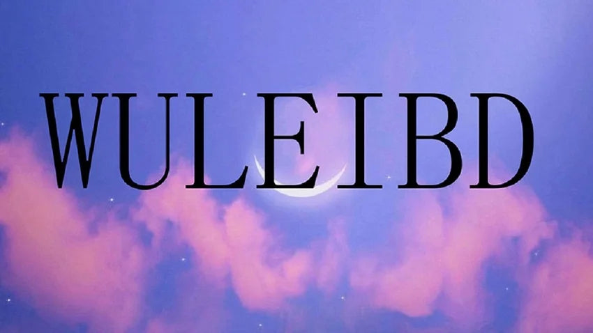 Japanese Oversized Hoodies Streetwear Vintage Contrast Coats Women Loose Y2k Aesthetic Jackets2025 Casual Grunge Zipper Tops Badiee Stylez